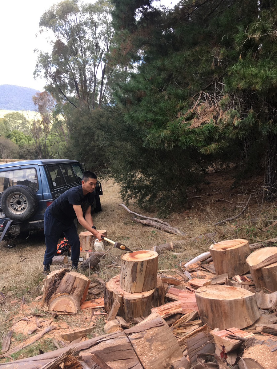 Cutting Wood 4 伐木趣
